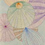 breedbloeier, Wieteke Snijder coaching en advies, laatbloeier, twintiger, dertiger, veertiger, vijftiger, ontwikkeling, roeping, levenspad