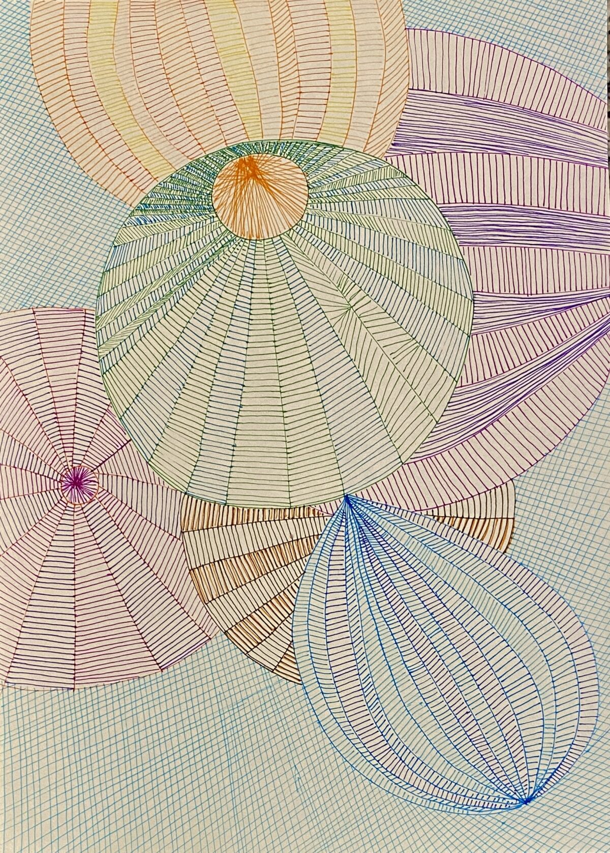 breedbloeier, Wieteke Snijder coaching en advies, laatbloeier, twintiger, dertiger, veertiger, vijftiger, ontwikkeling, roeping, levenspad