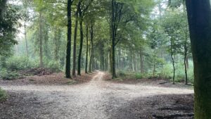 yolo, Wieteke snijder coaching en advies, blauwdruk, levenspad, levensvreugde, levensenergie